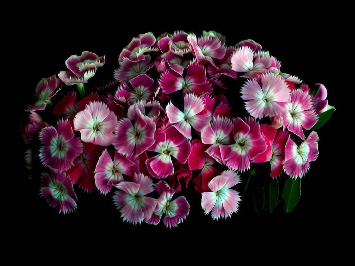 BLÜTEN