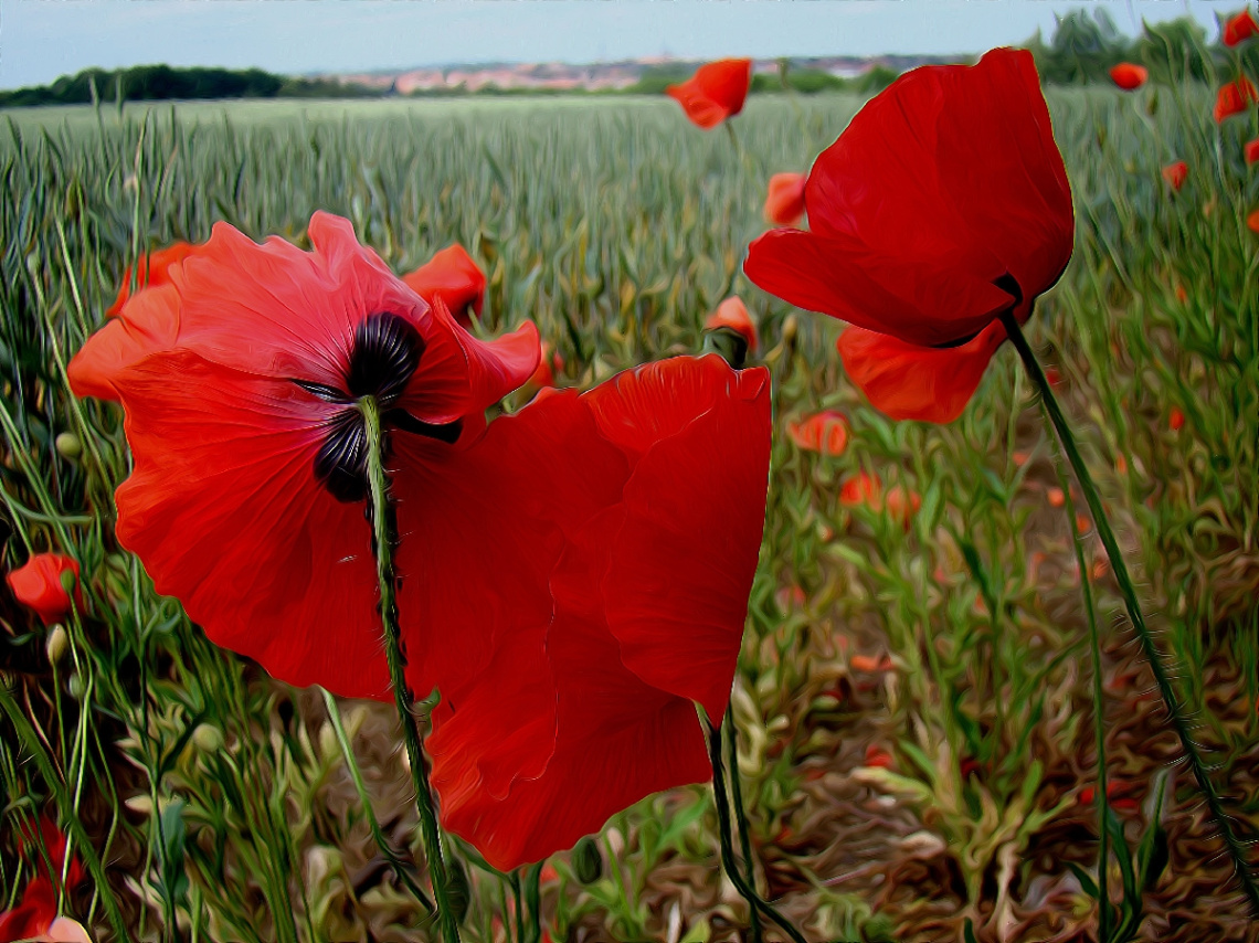 BLÜTEN