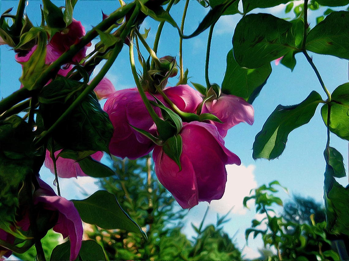 BLÜTEN