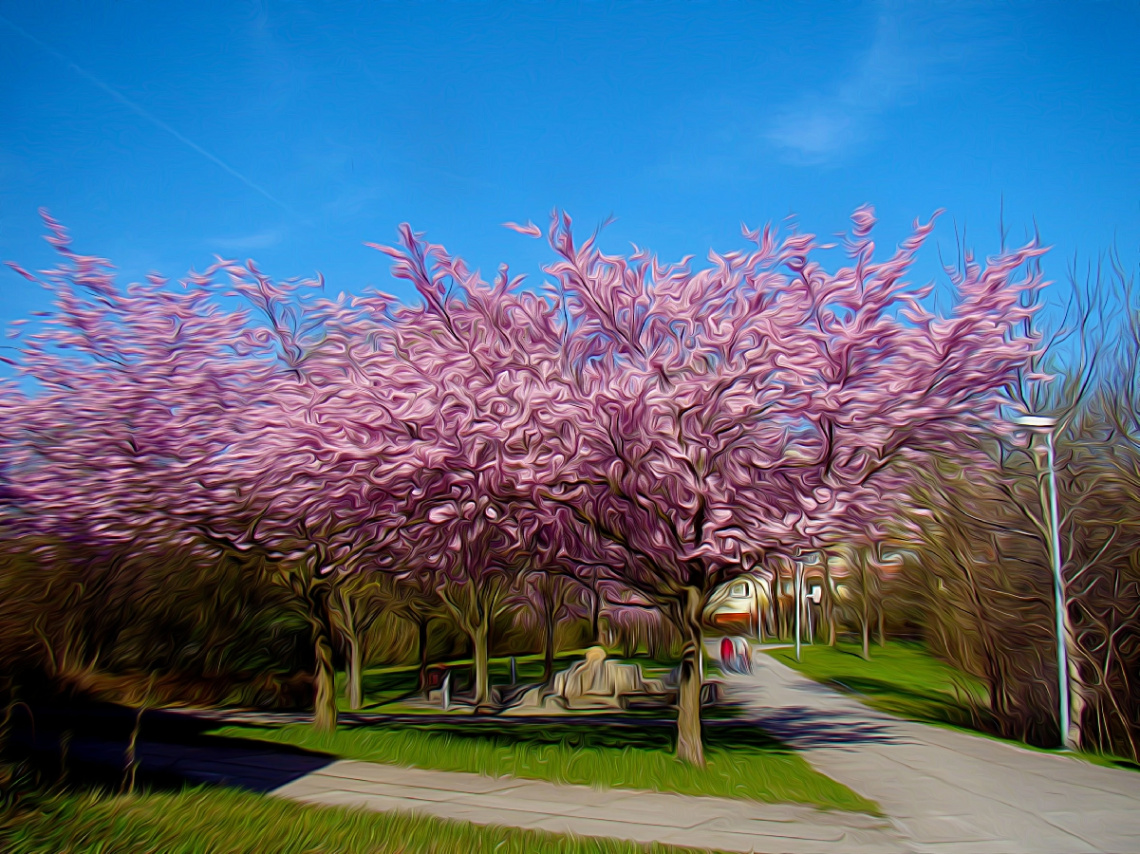 FRÜHLING
