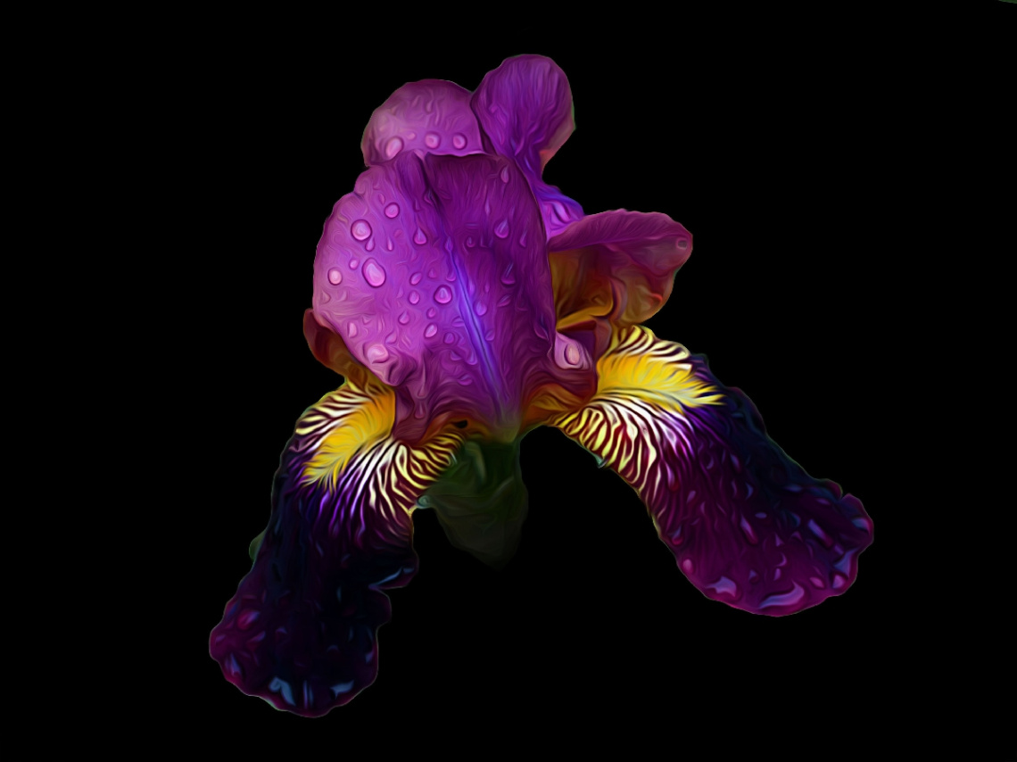 BLÜTE