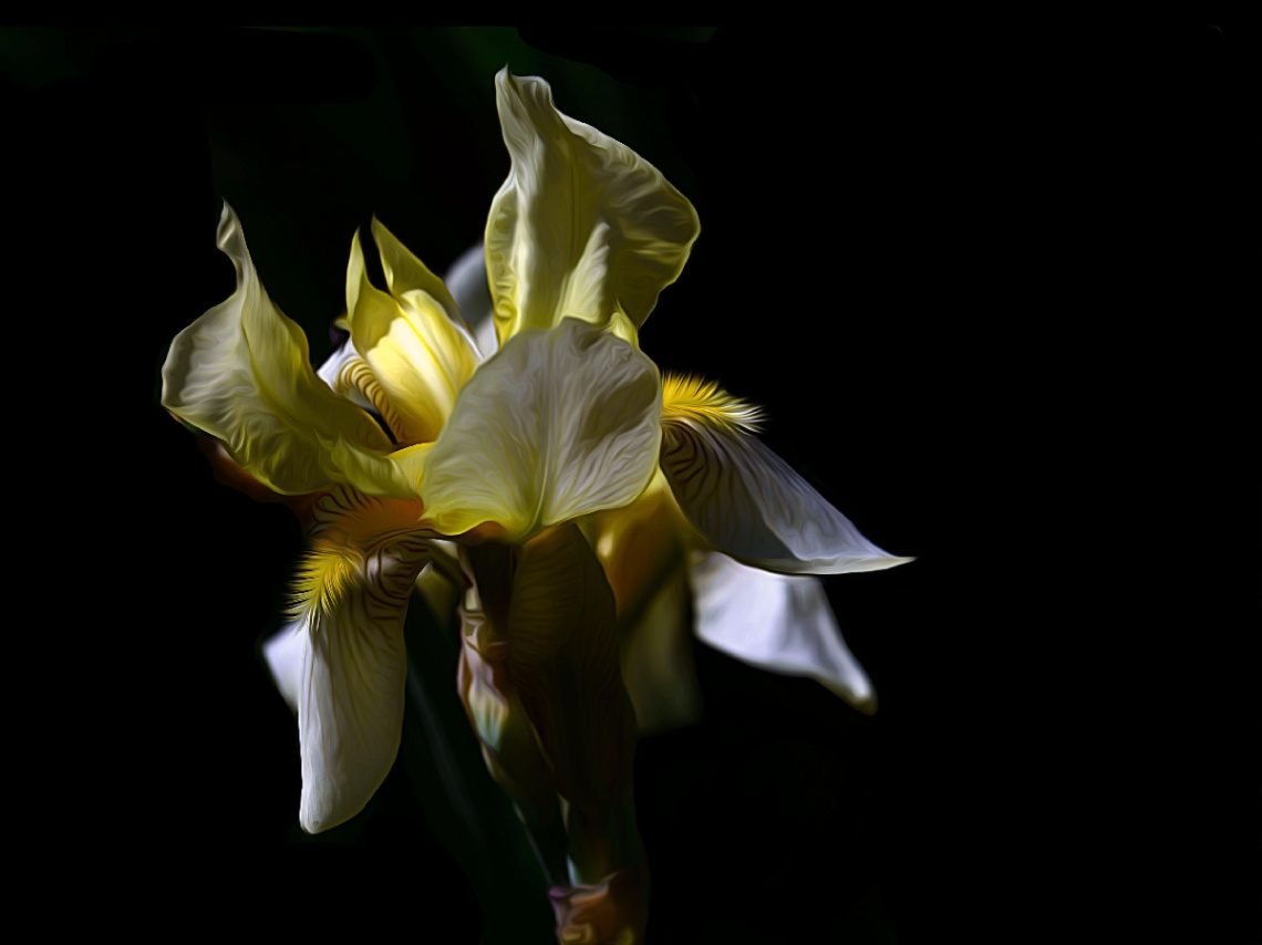 BLÜTE