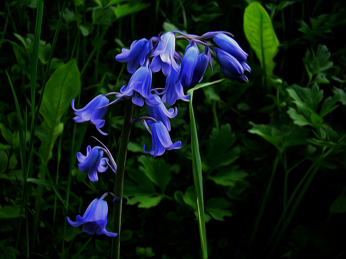 BLÜTEN
