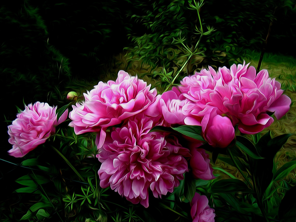 BLÜTEN