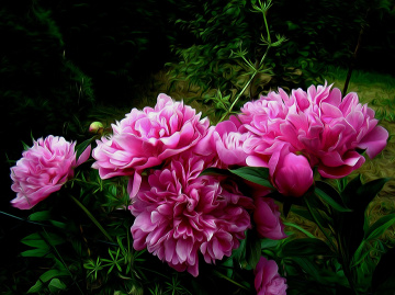 BLÜTEN