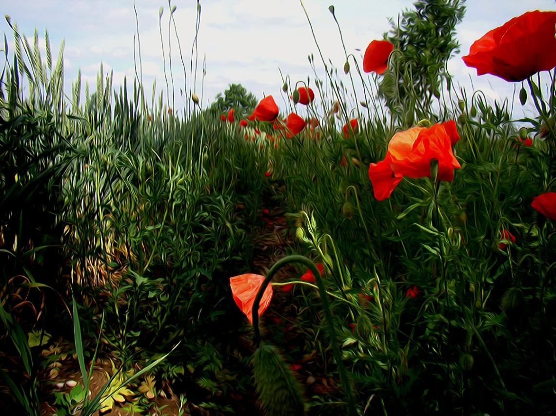 BLÜTEN