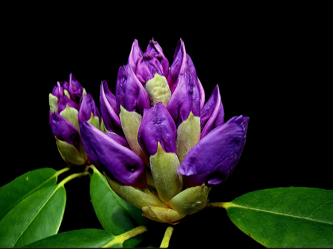 BLÜTEN