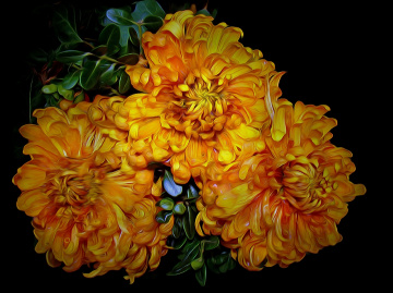 BLÜTEN