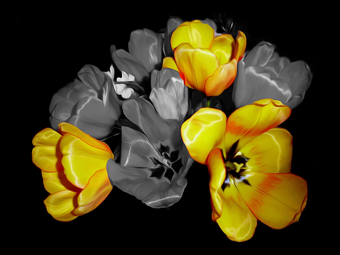 C/K