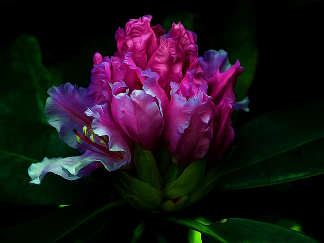 BLÜTEN