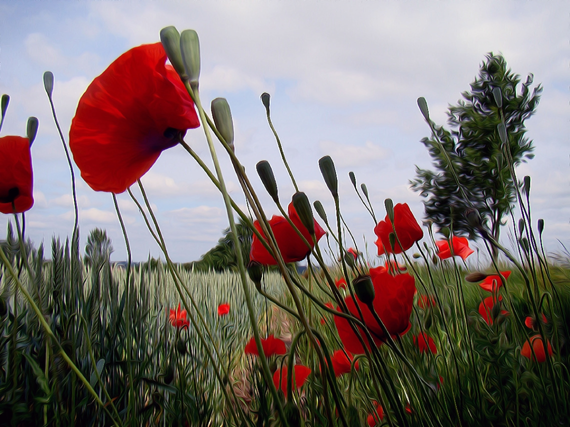 BLÜTEN