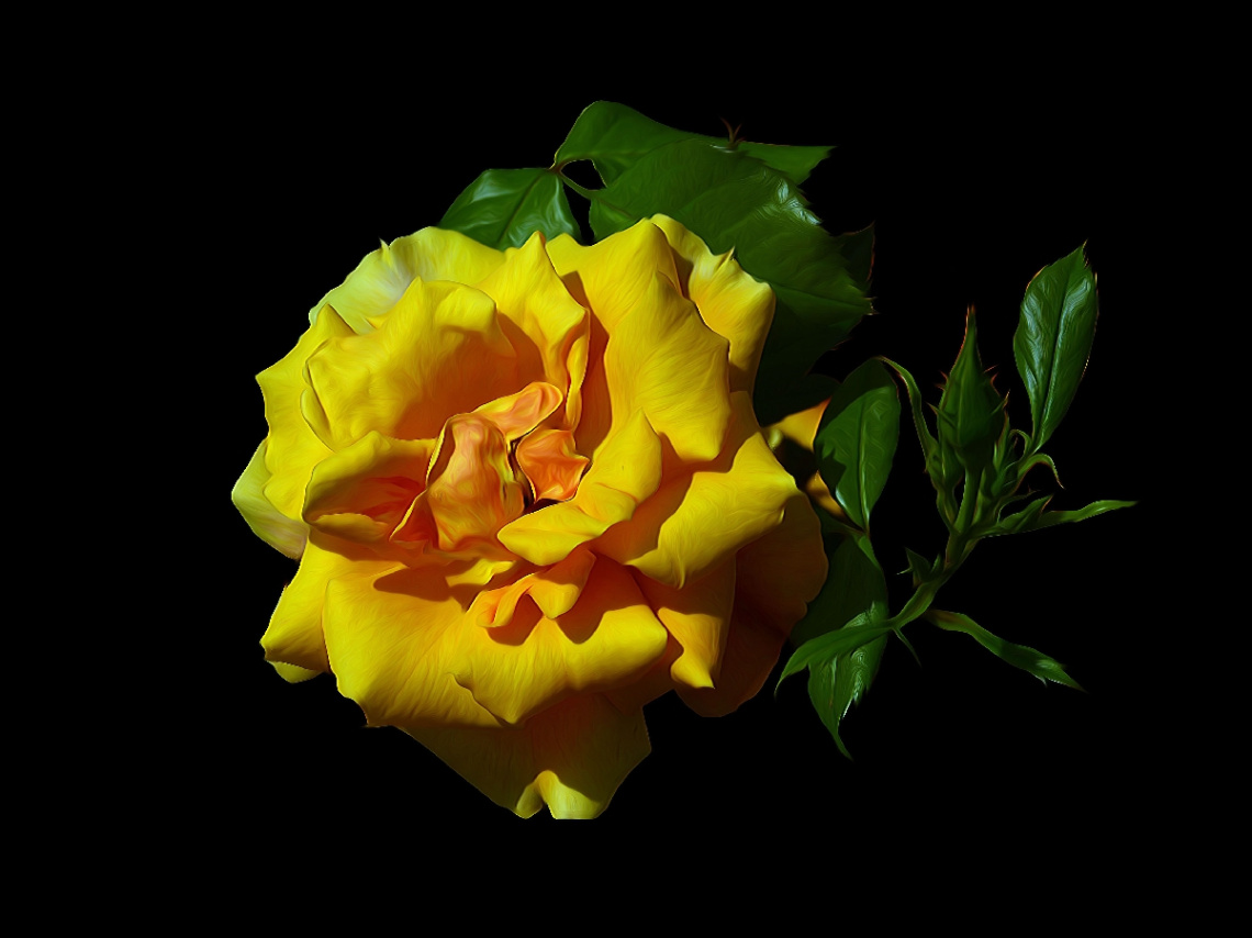 BLÜTE