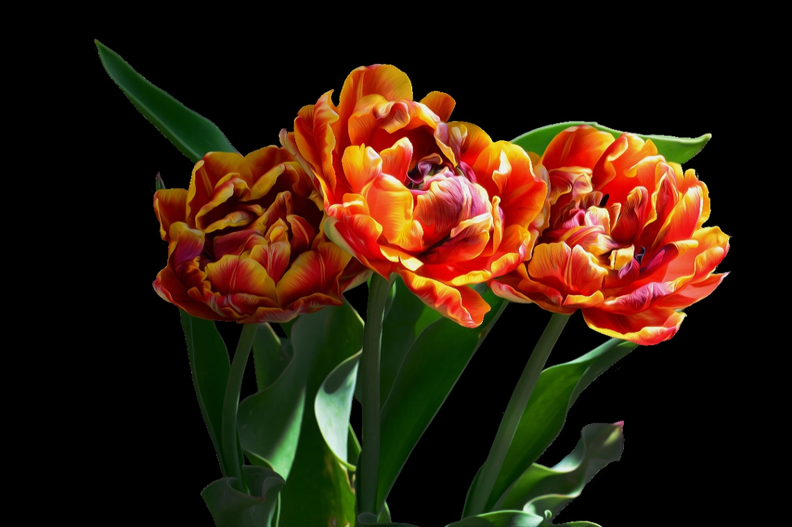 TULPEN