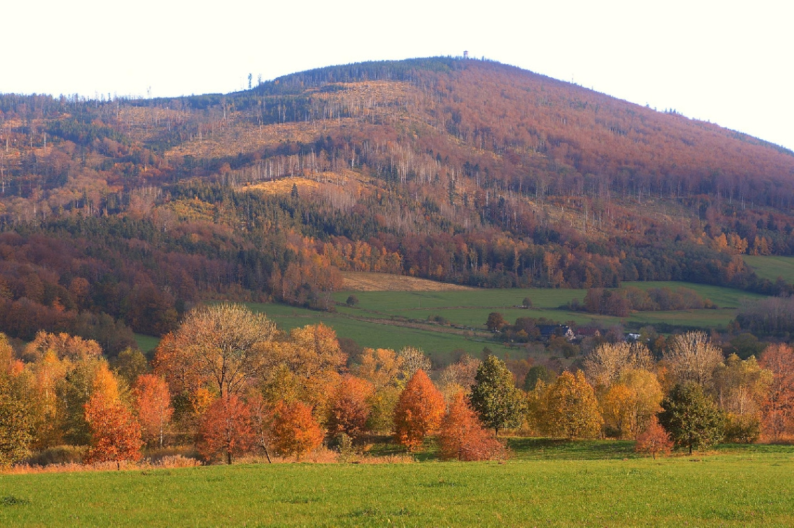 Autumn