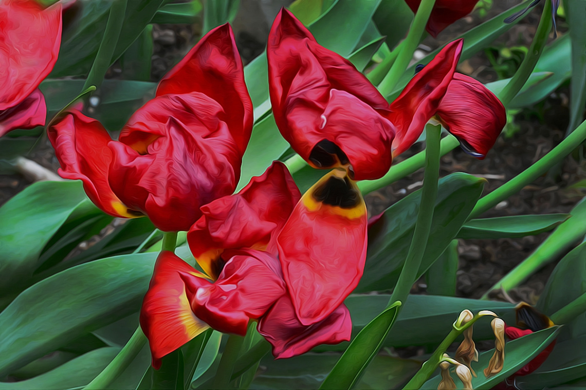 TULPEN