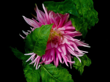 BLÜTE