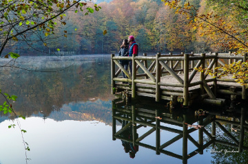 Yedigöller, Bolu  