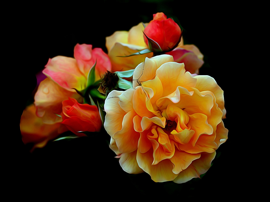 ROSE