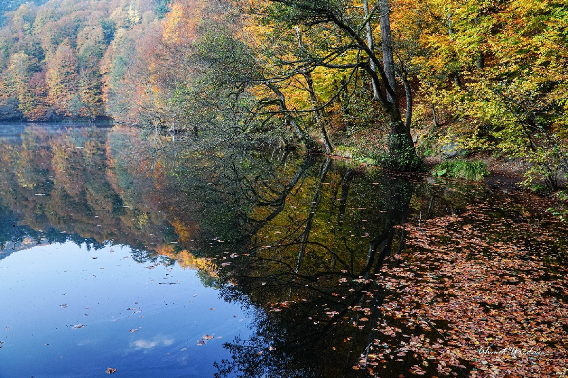 Yedigöller, Bolu  