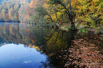Yedigöller, Bolu  