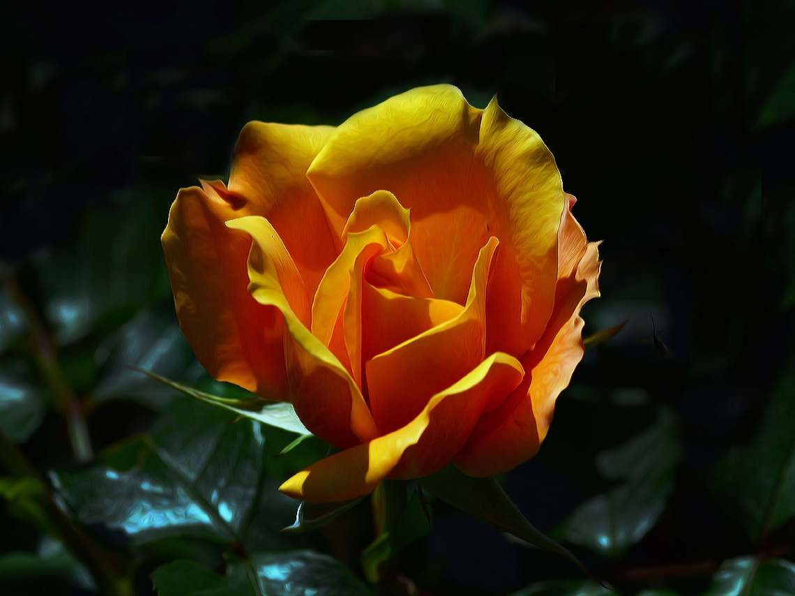 ROSE