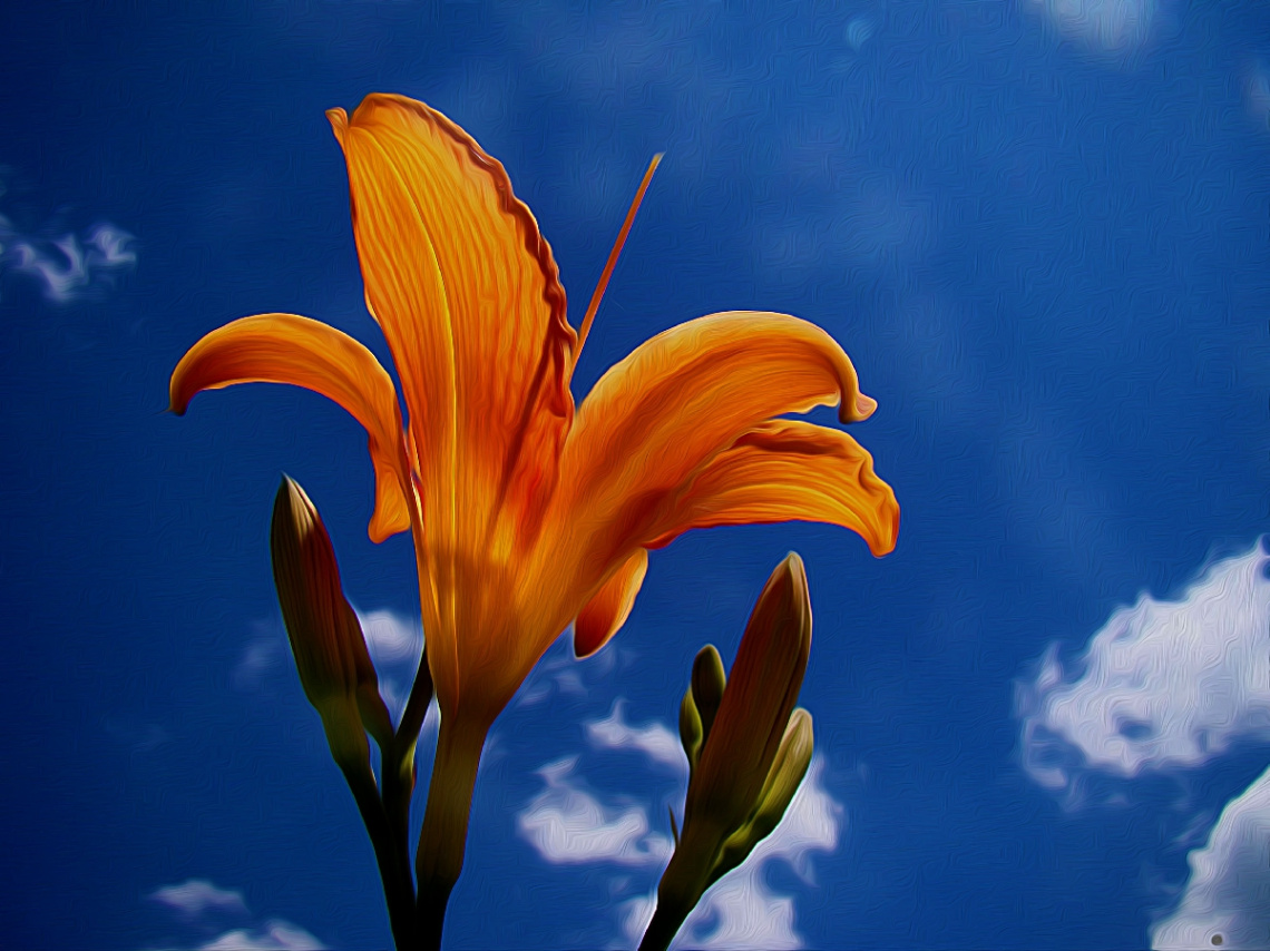 BLÜTE