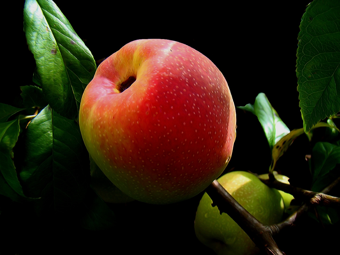 APFEL
