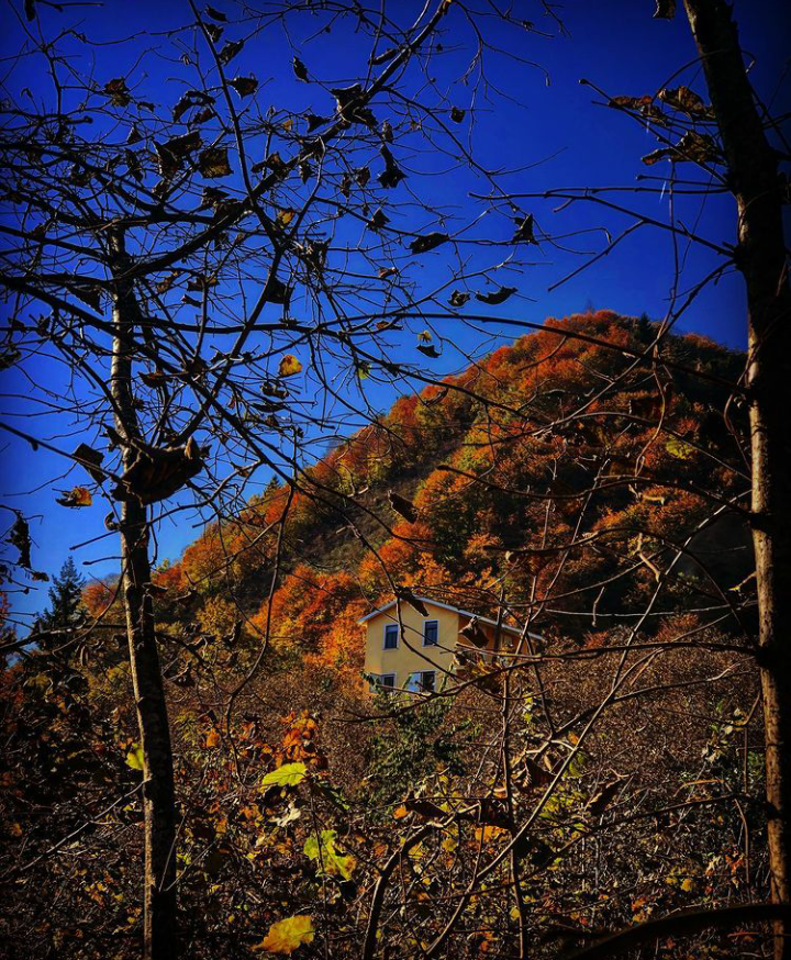 Giresun'da Sonbahar