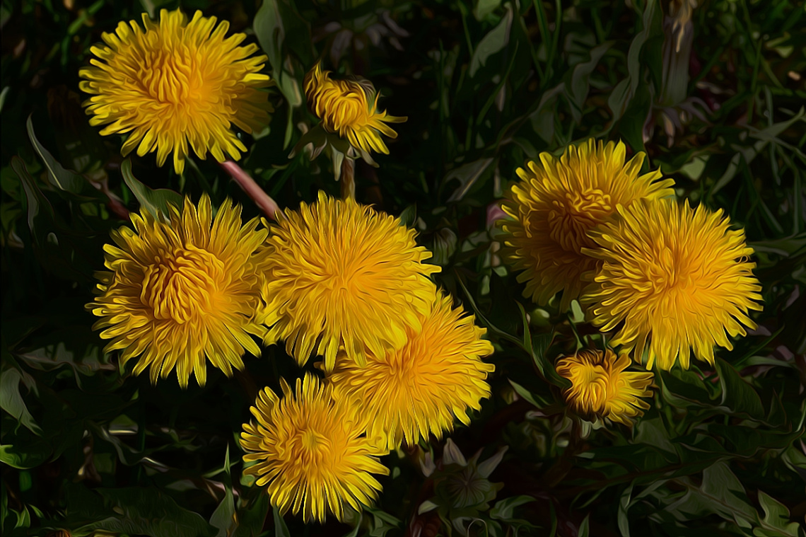 AUF EINER WIESE