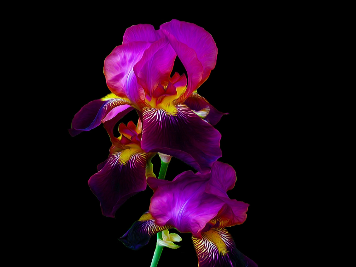 BLÜTEN
