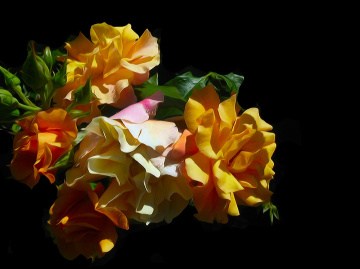 ROSEN
