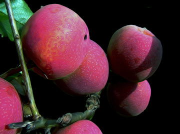 ÄPFEL