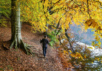 Yedigöller, Bolu  