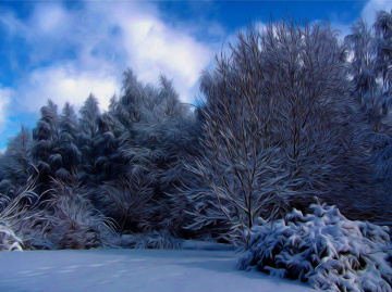 WINTER