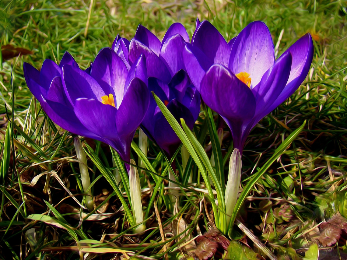 BLÜTEN