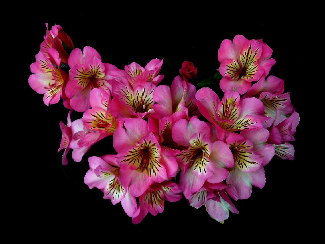 BLÜTEN