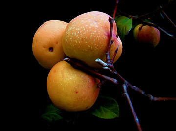 ÄPFEL