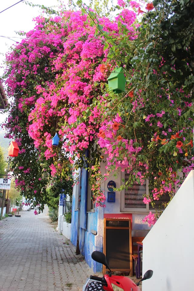 Datça / Muğla / Turkey