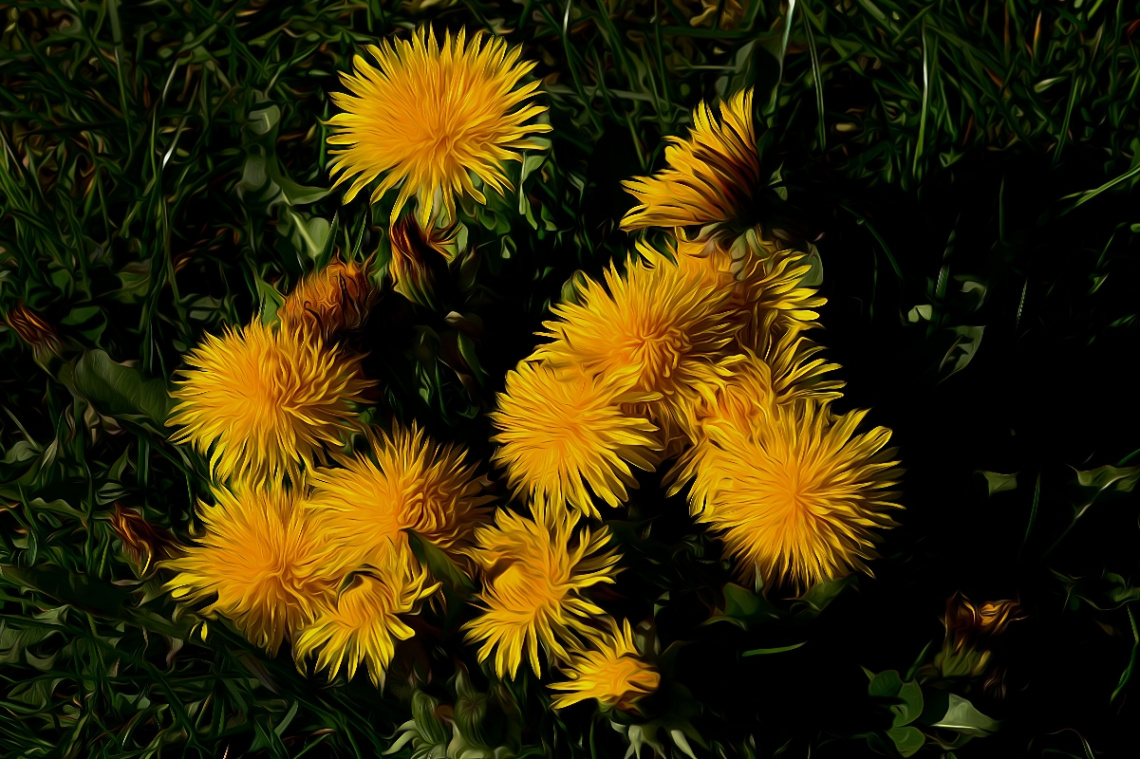 BLÜTEN