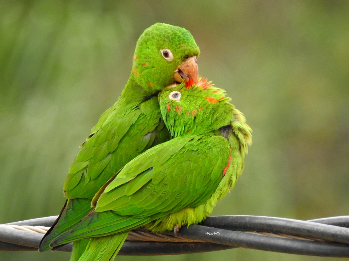 Loving moment