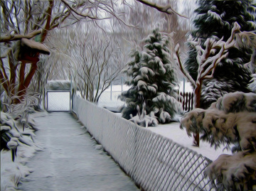 WINTER
