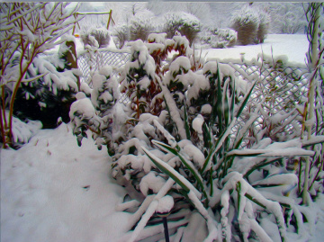 WINTER