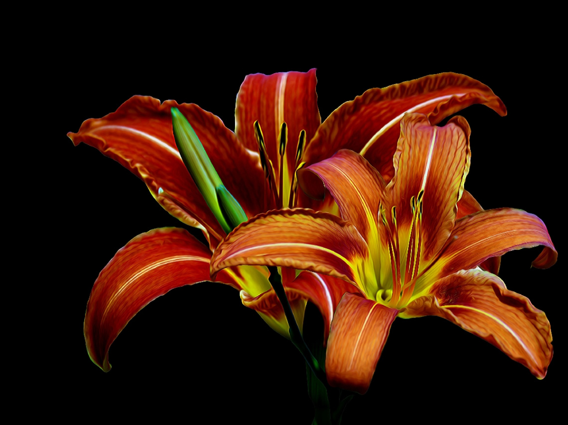 BLÜTEN