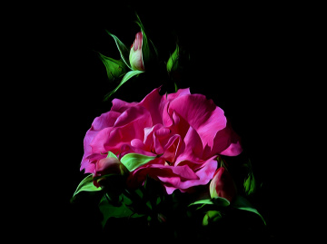 BLÜTEN