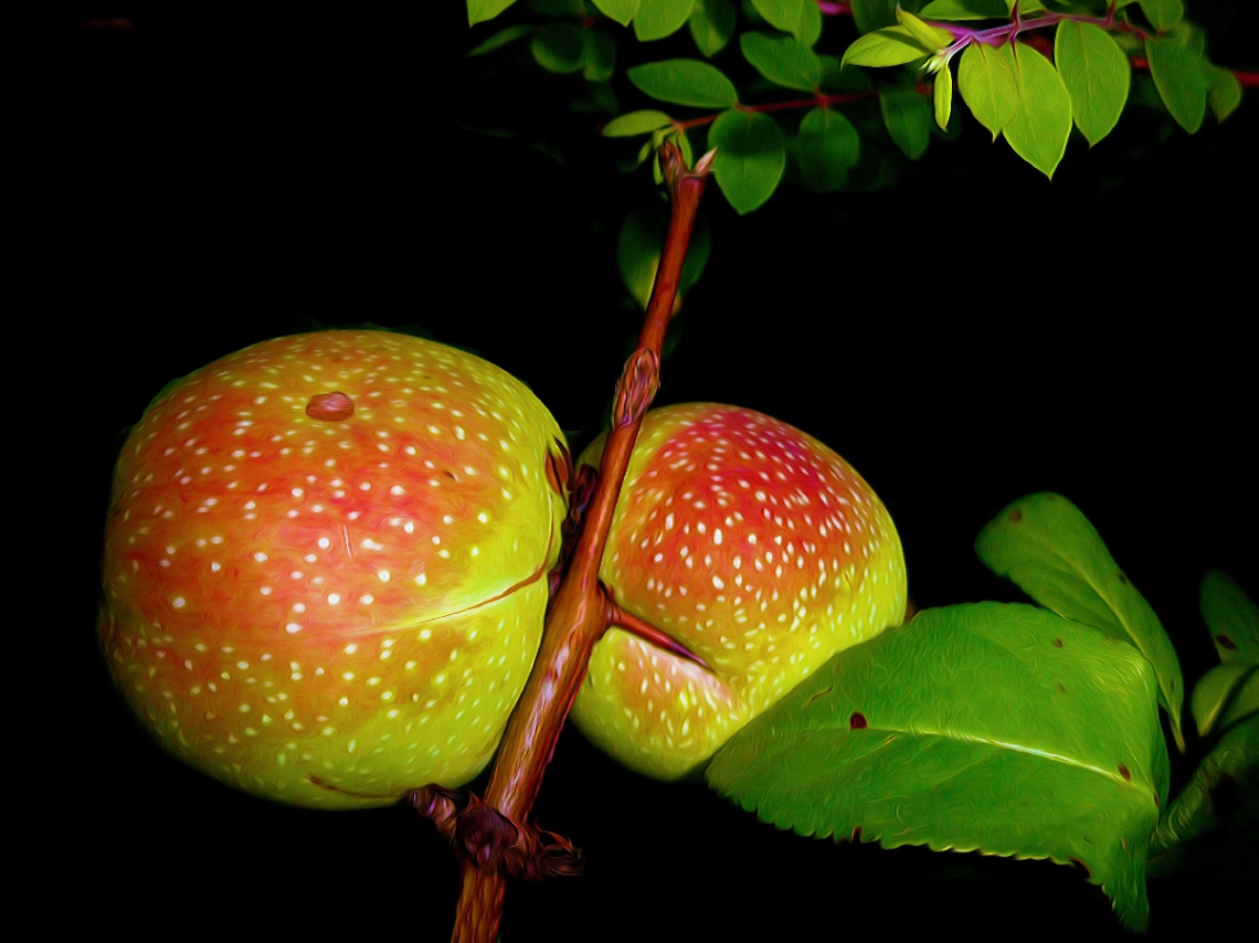 APFEL