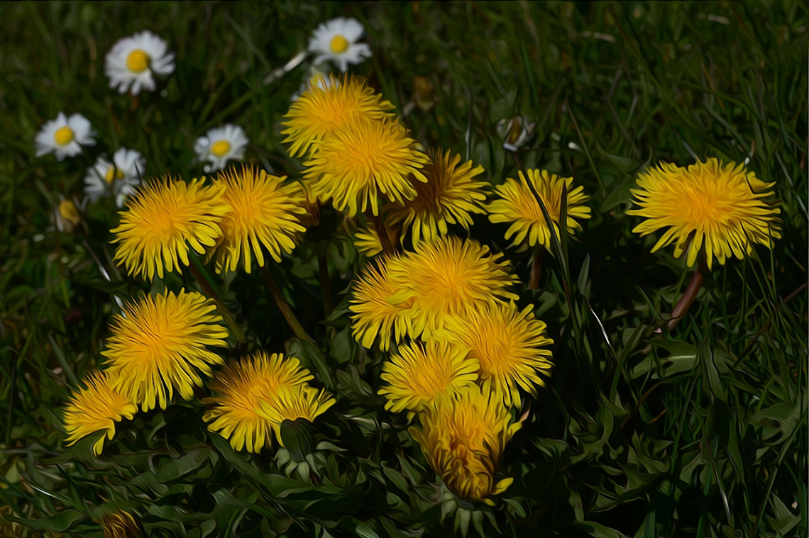 AUF EINER WIESE