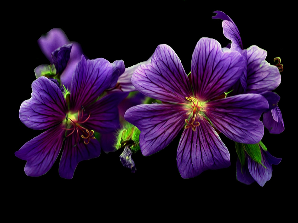 BLÜTEN