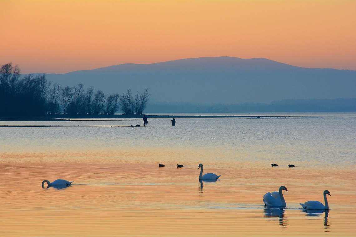 ... Lake Nysa, Polonya