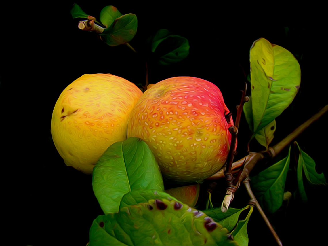 ÄPFEL