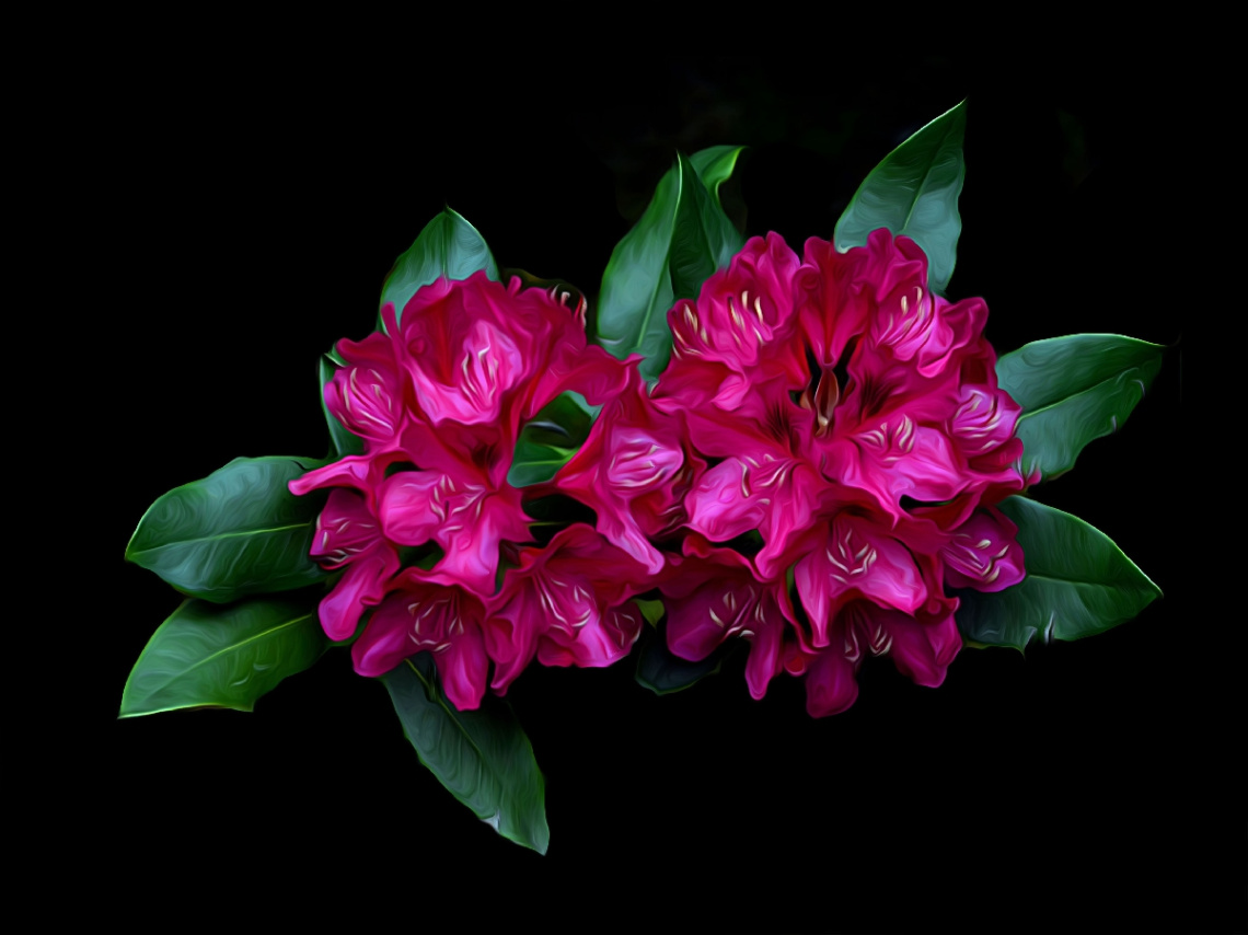 BLÜTEN